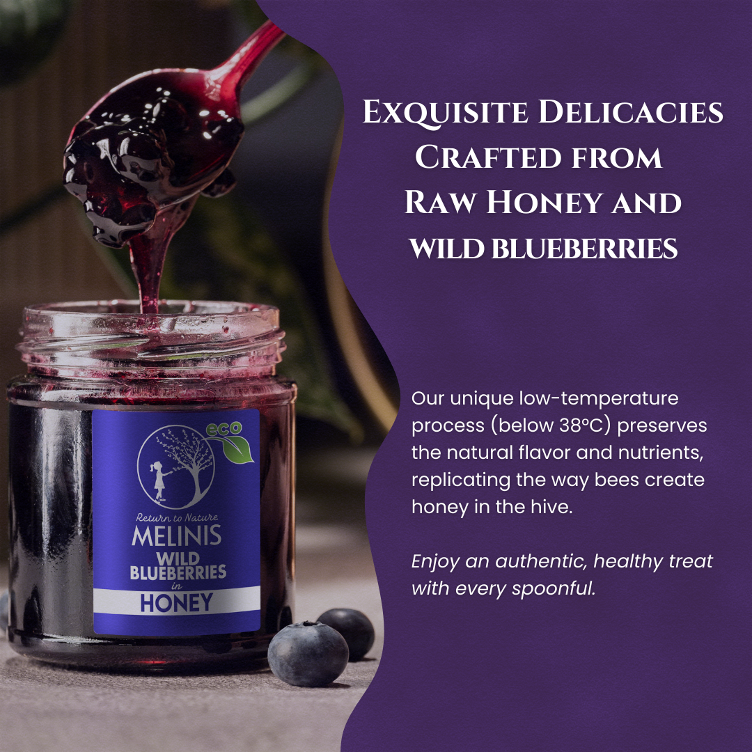 Melinis Wild Blueberries (Bilberries) – Raw and Organic Honey with Wild Blueberries, 230g | Unique Cold-Processed Delicacy | Perfect for Desserts and Special Gifts