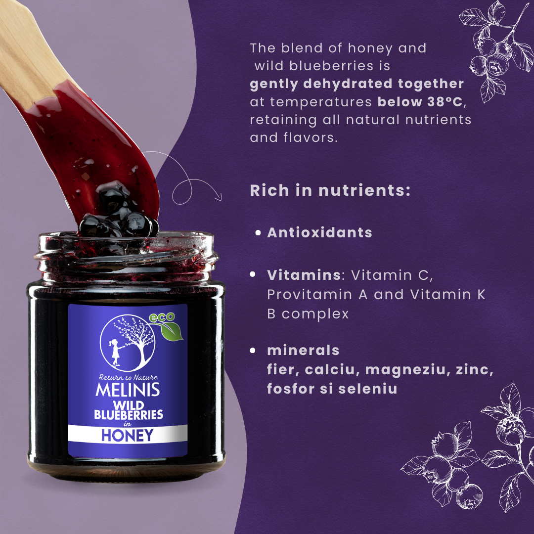 Melinis Wild Blueberries (Bilberries) – Raw and Organic Honey with Wild Blueberries, 230g | Unique Cold-Processed Delicacy | Perfect for Desserts and Special Gifts